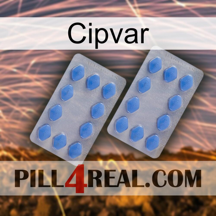 Cipvar 20